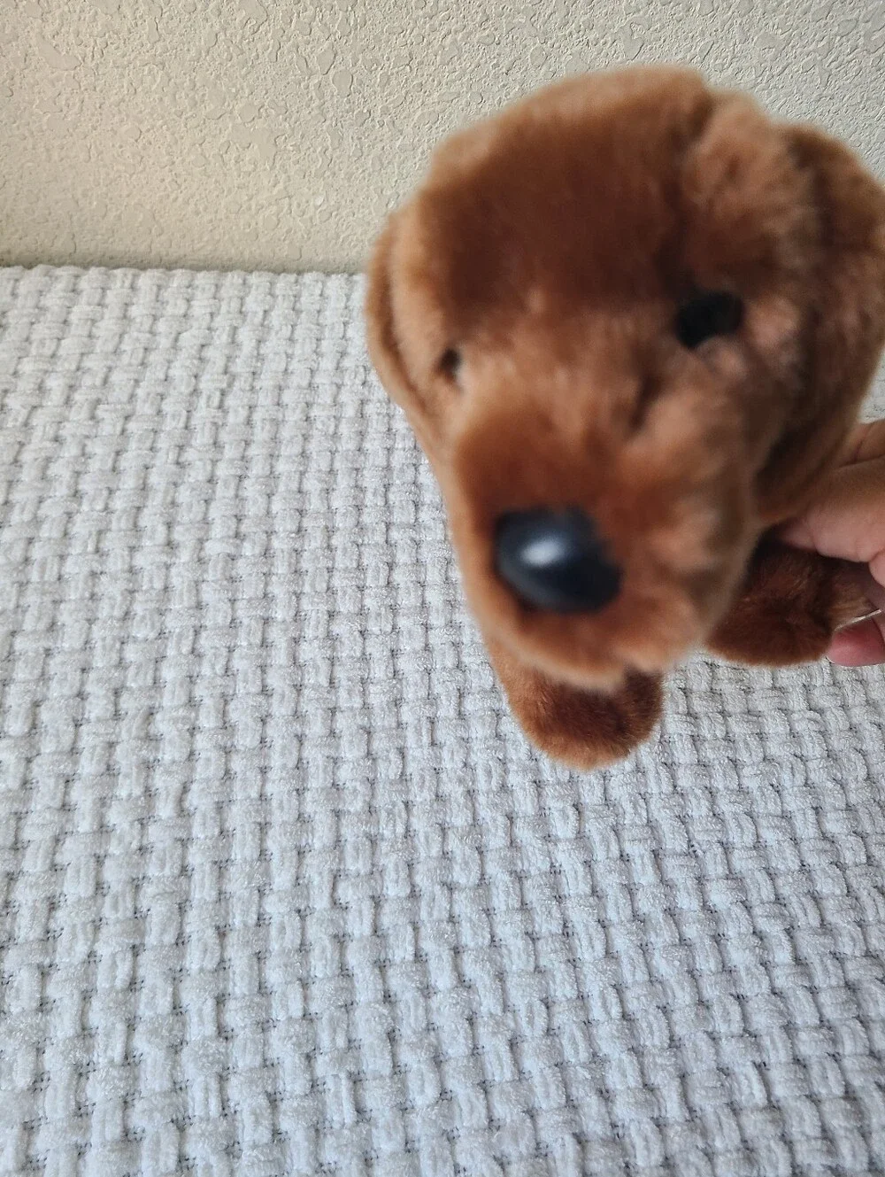 Douglas Dilly Dachshund Winner Dog Soft Cuddly Pet Plush